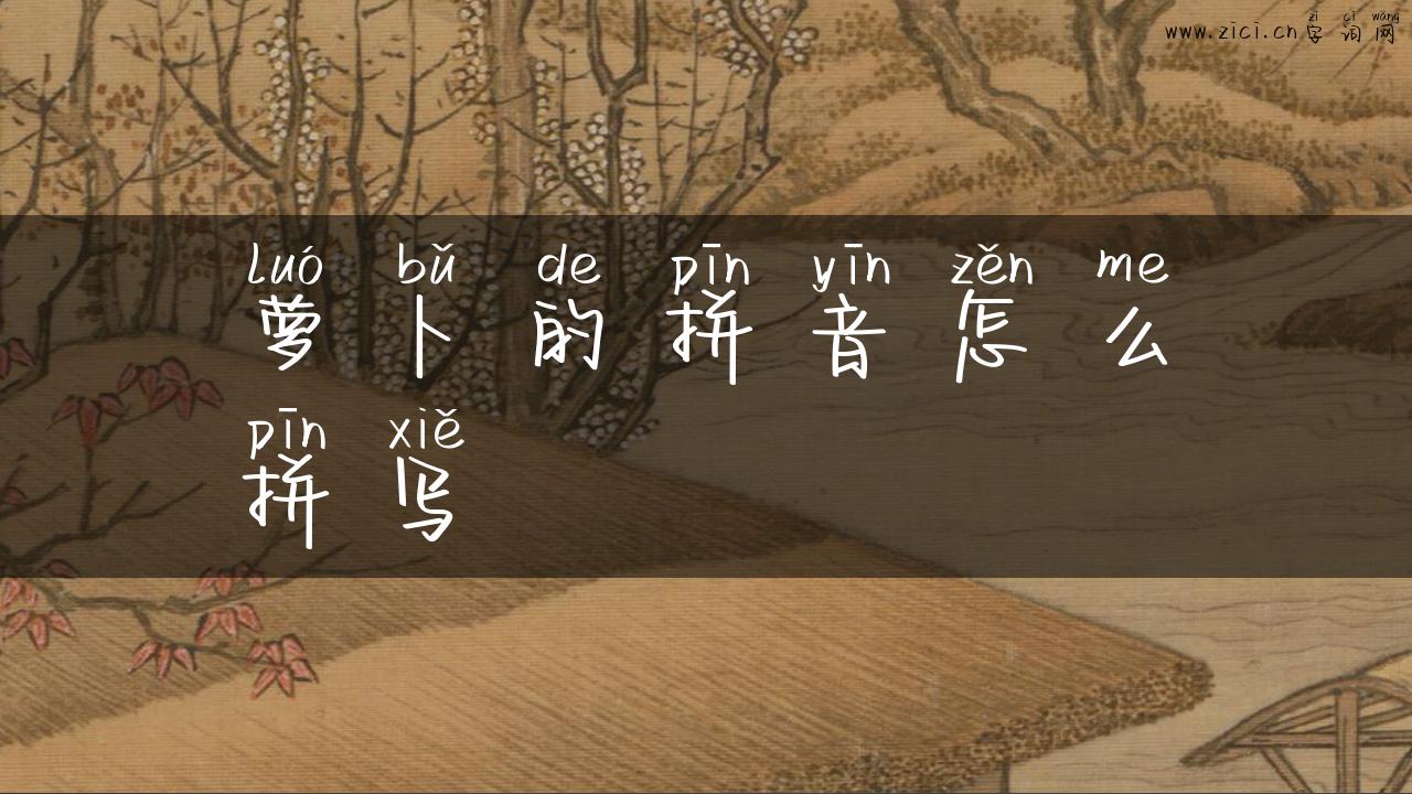 萝卜的拼音怎么拼写