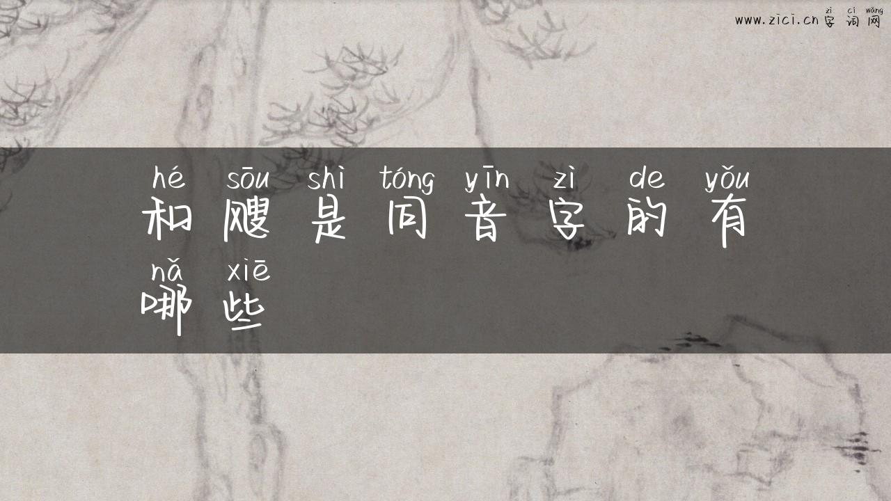 和飕是同音字的有哪些