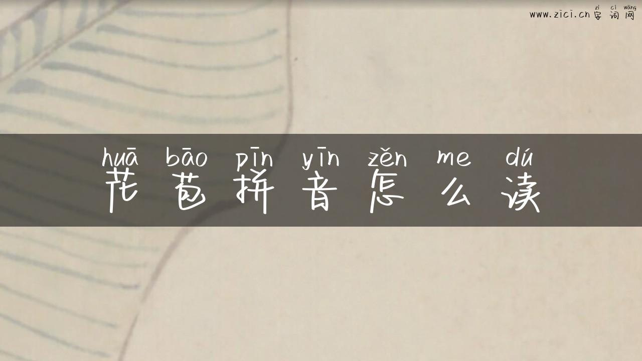花苞拼音怎么读