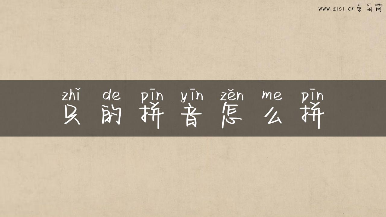 只的拼音怎么拼