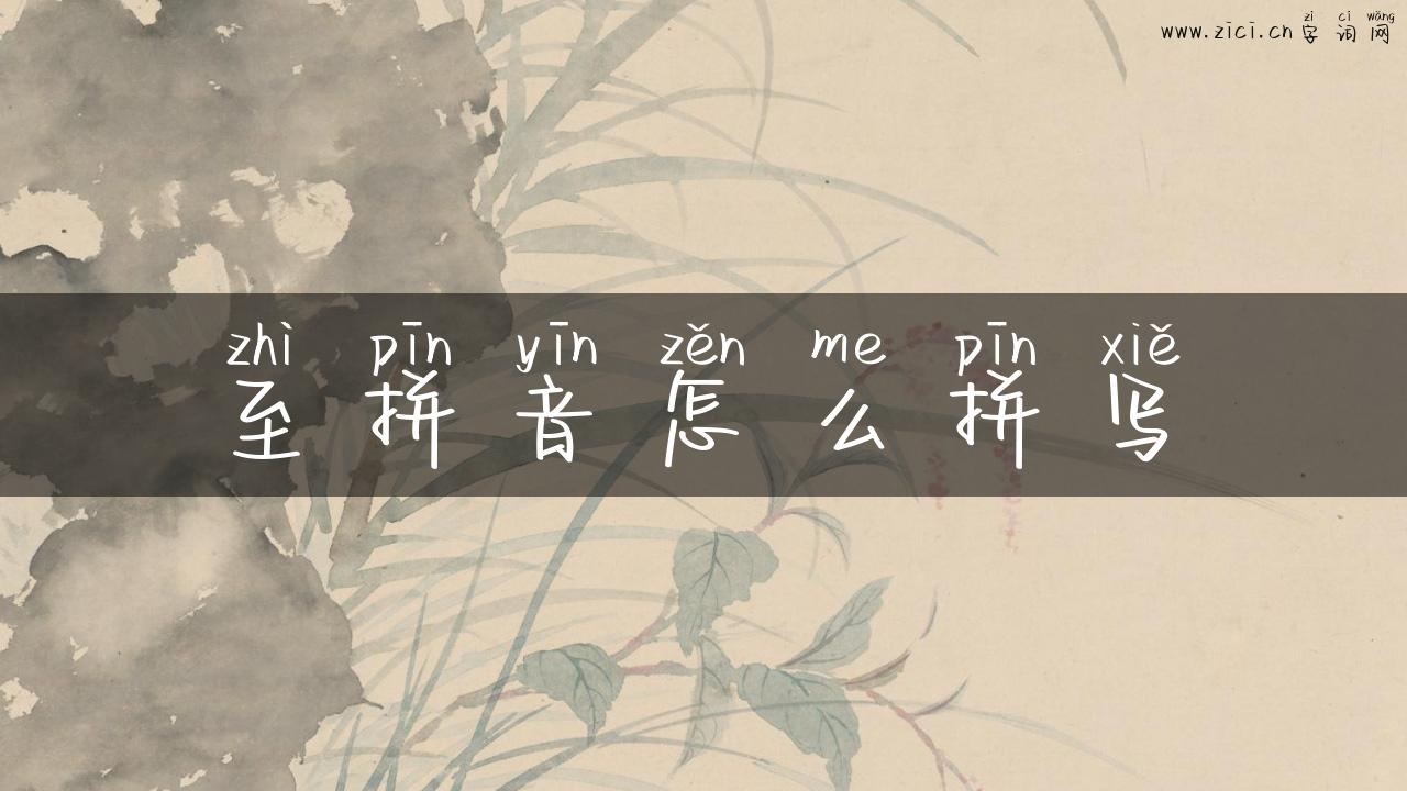 至拼音怎么拼写