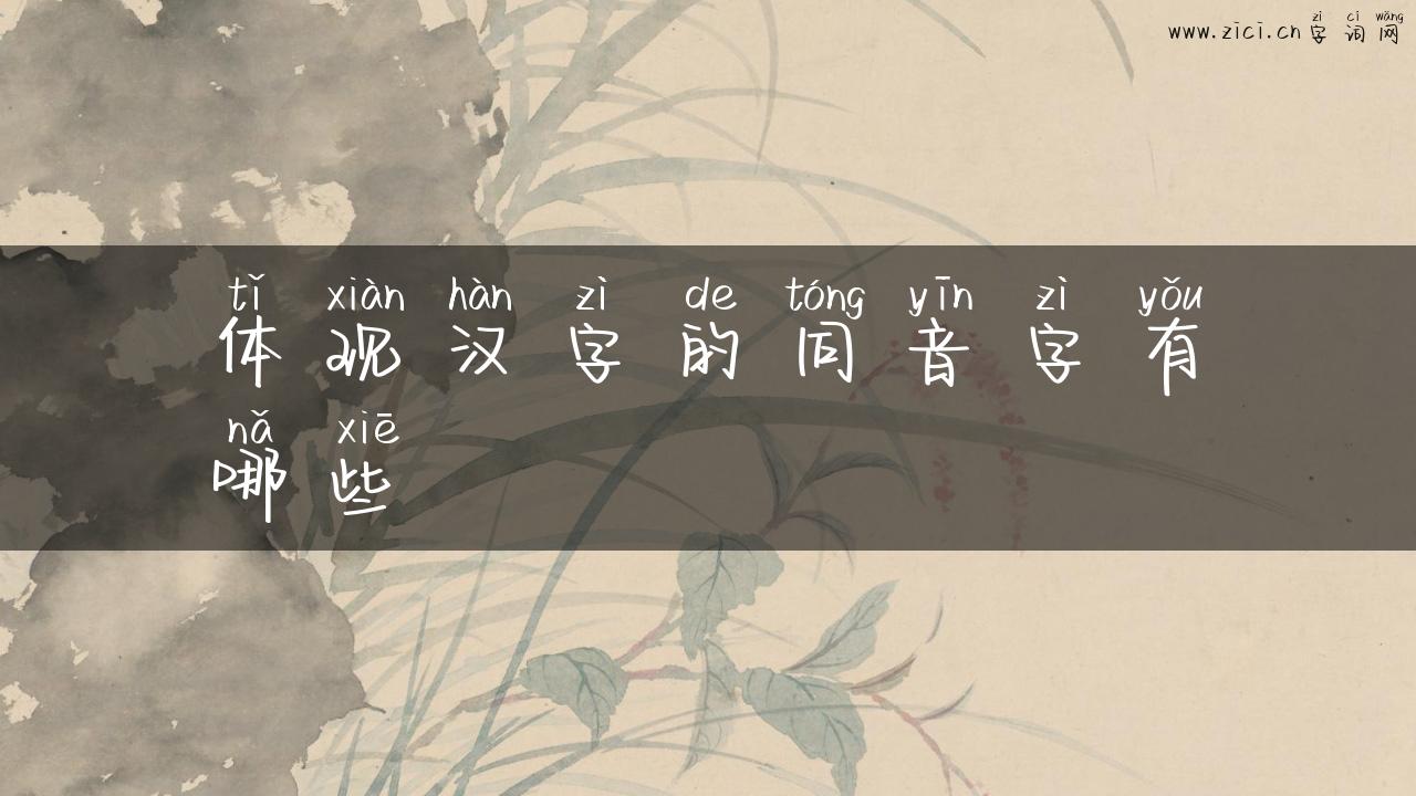 体现汉字的同音字有哪些
