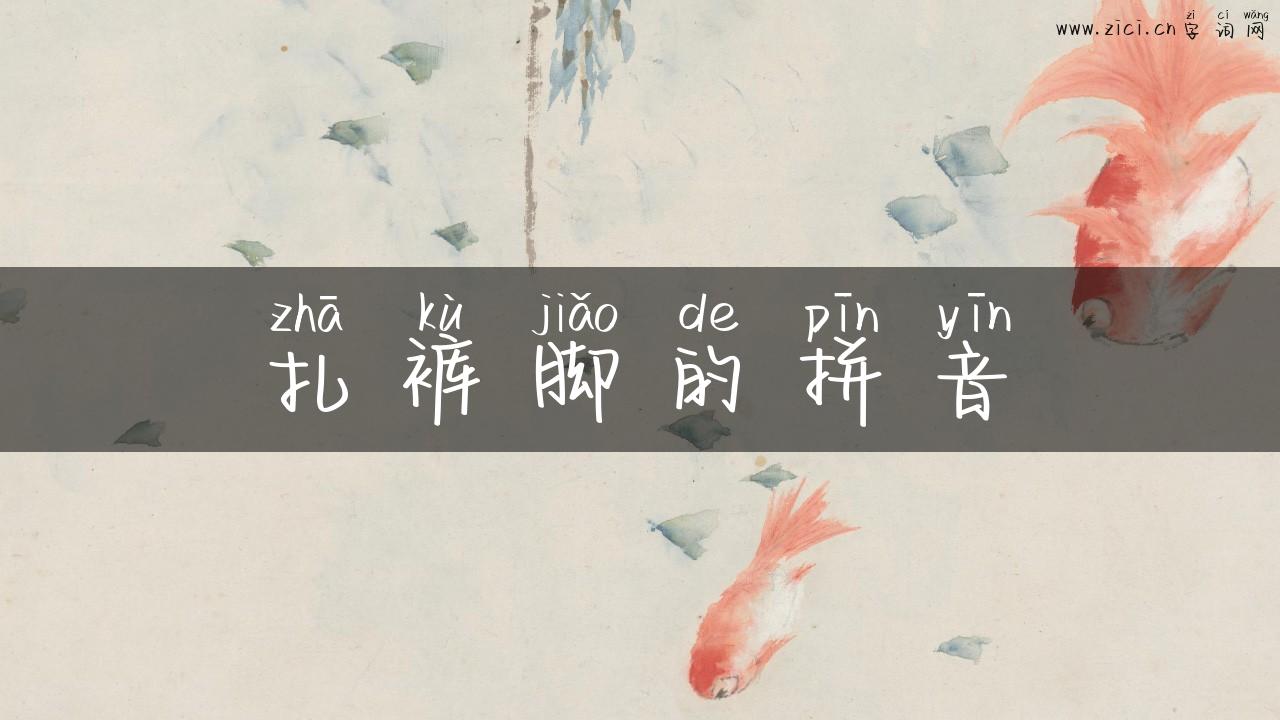 扎裤脚的拼音