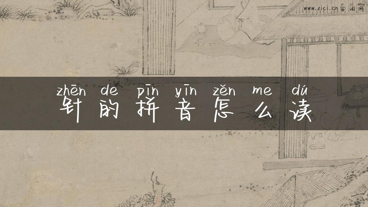针的拼音怎么读