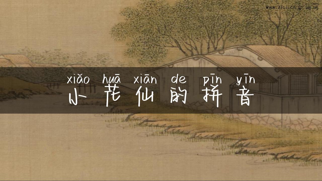 小花仙的拼音