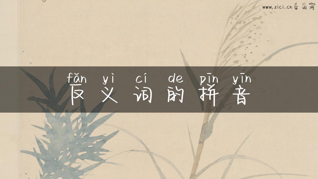 反义词的拼音