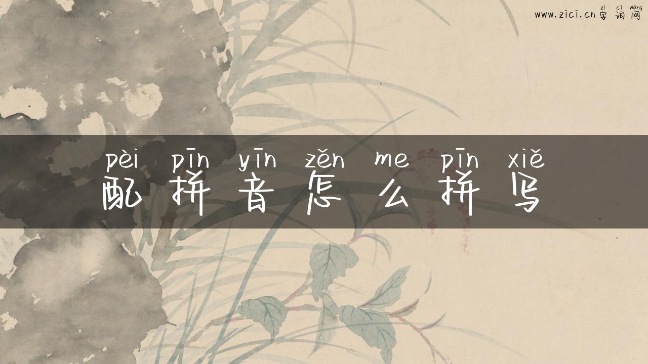 配拼音怎么拼写