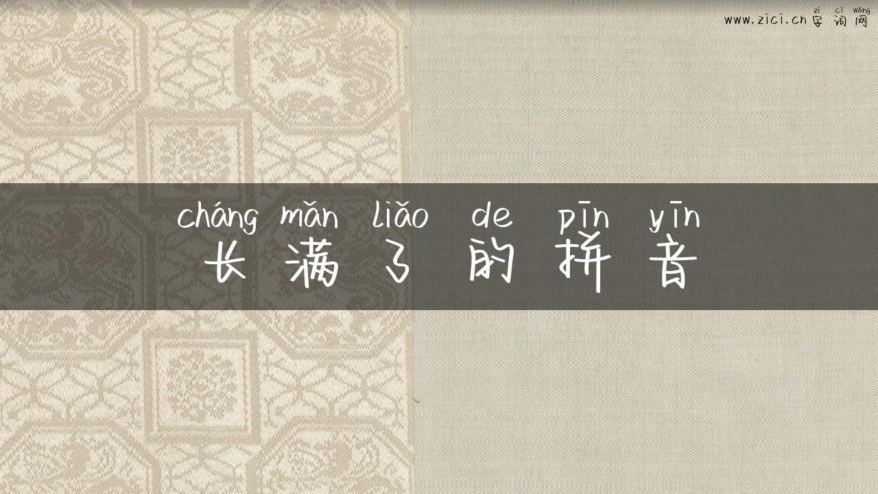 长满了的拼音
