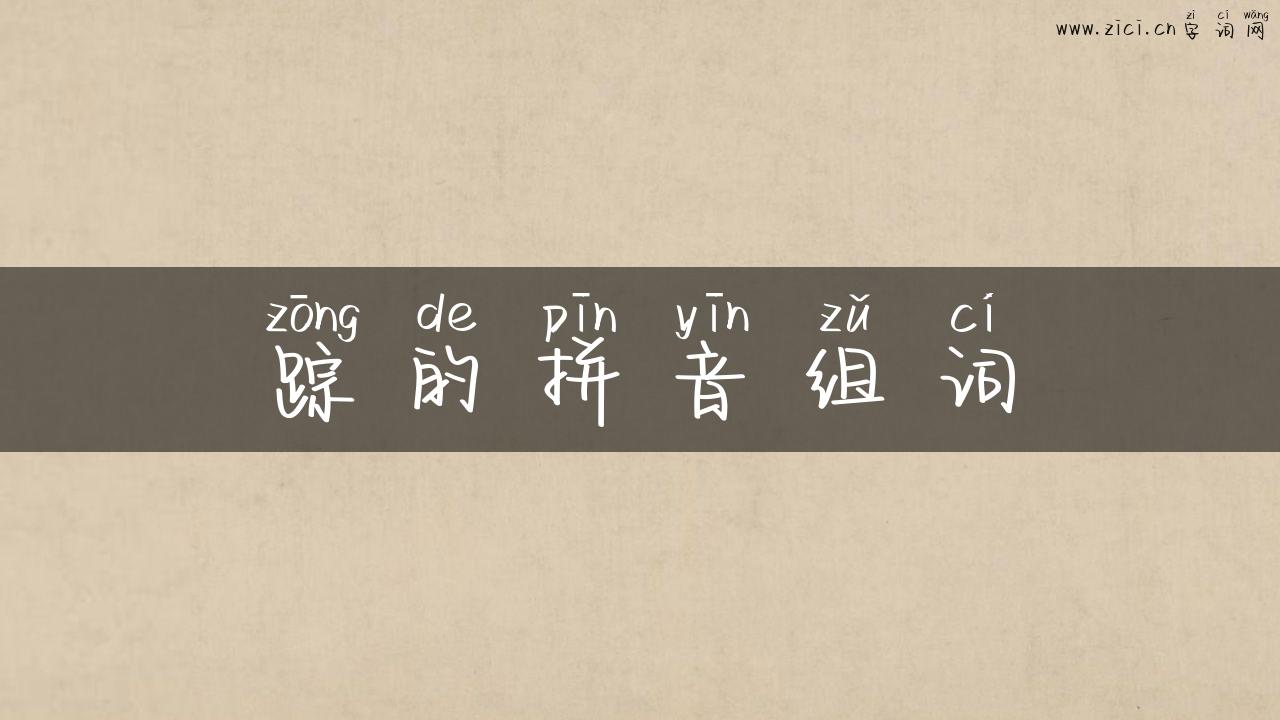 踪的拼音组词