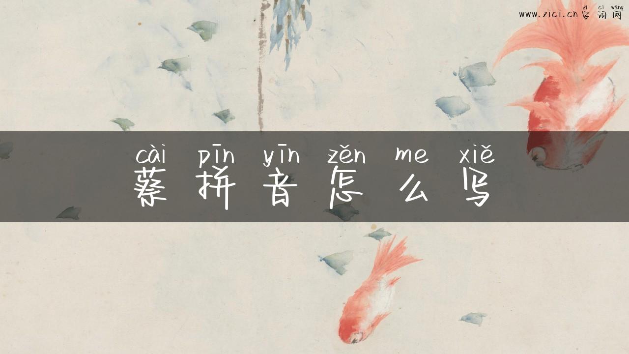 蔡拼音怎么写