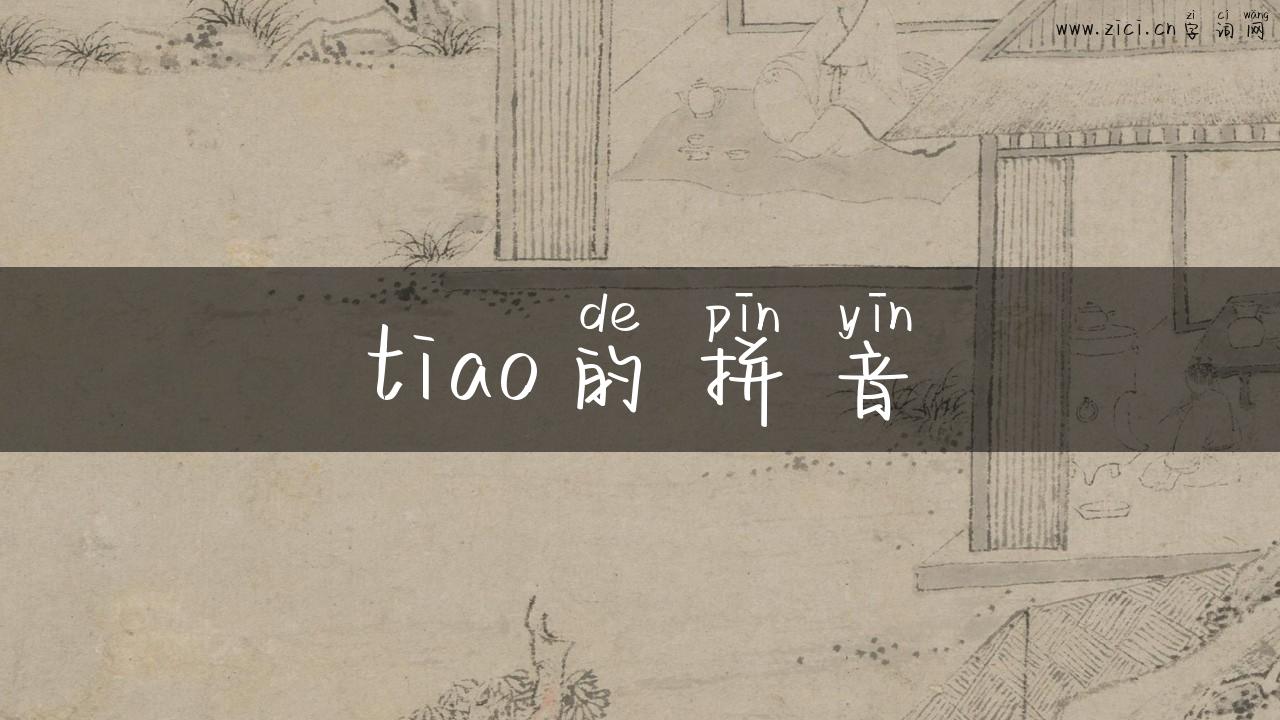 tiao的拼音