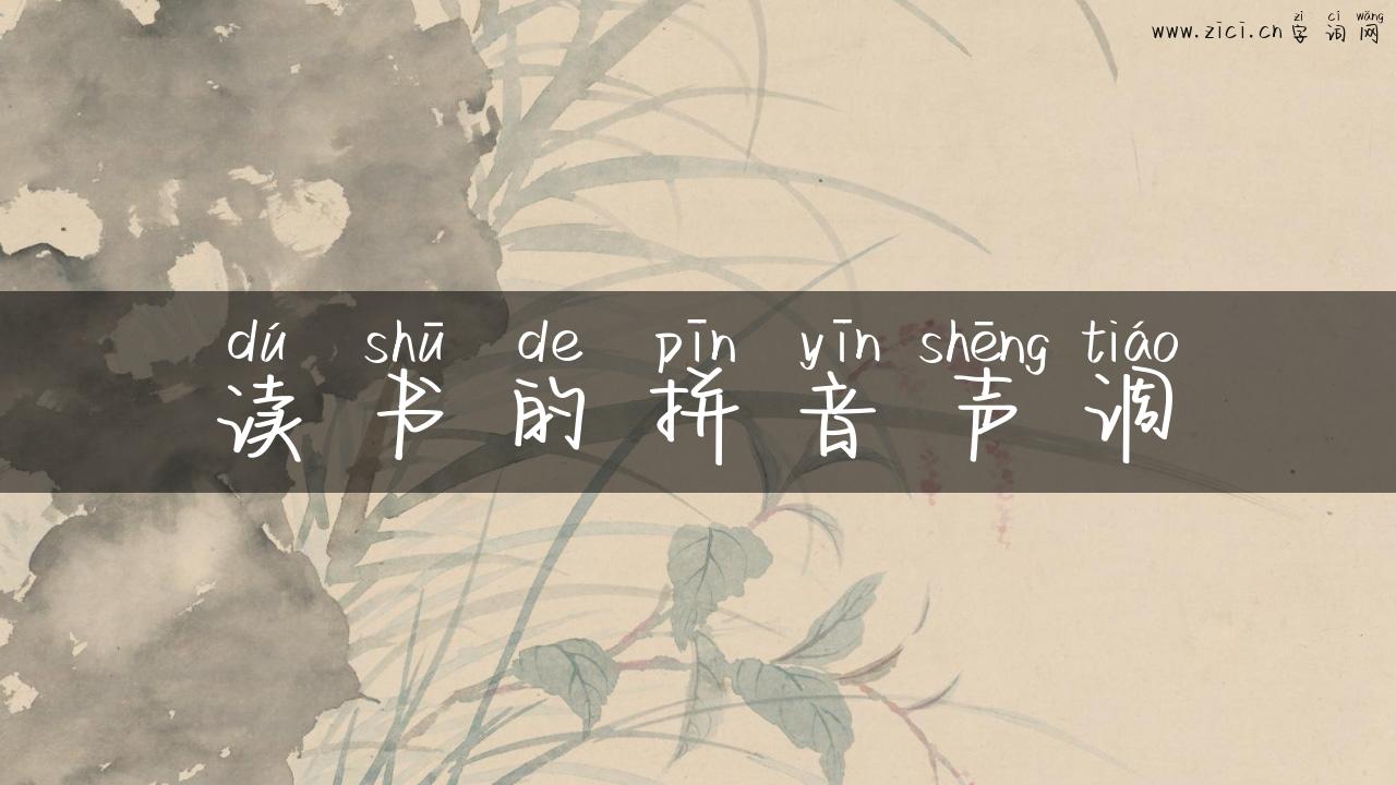 读书的拼音声调