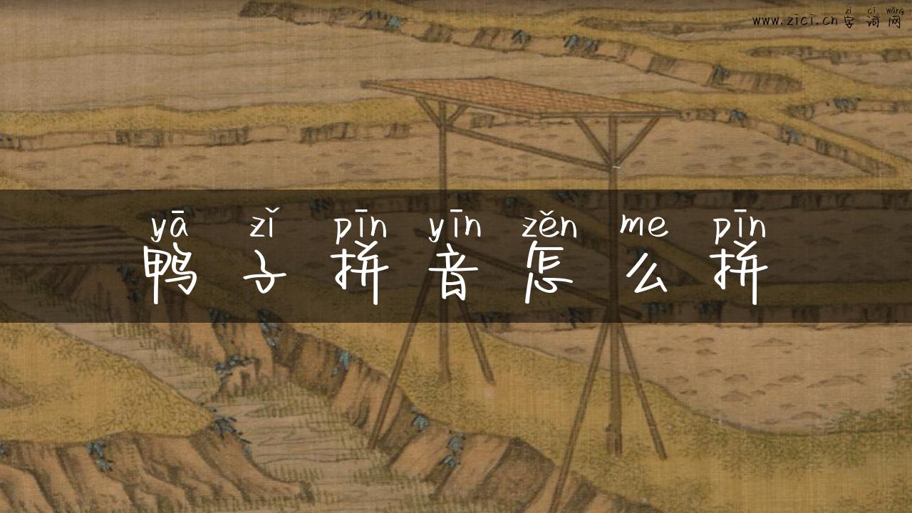 鸭子拼音怎么拼