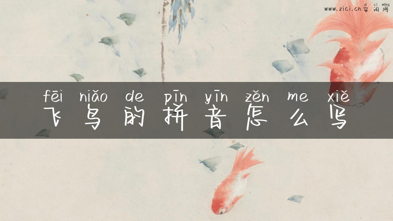 飞鸟的拼音怎么写