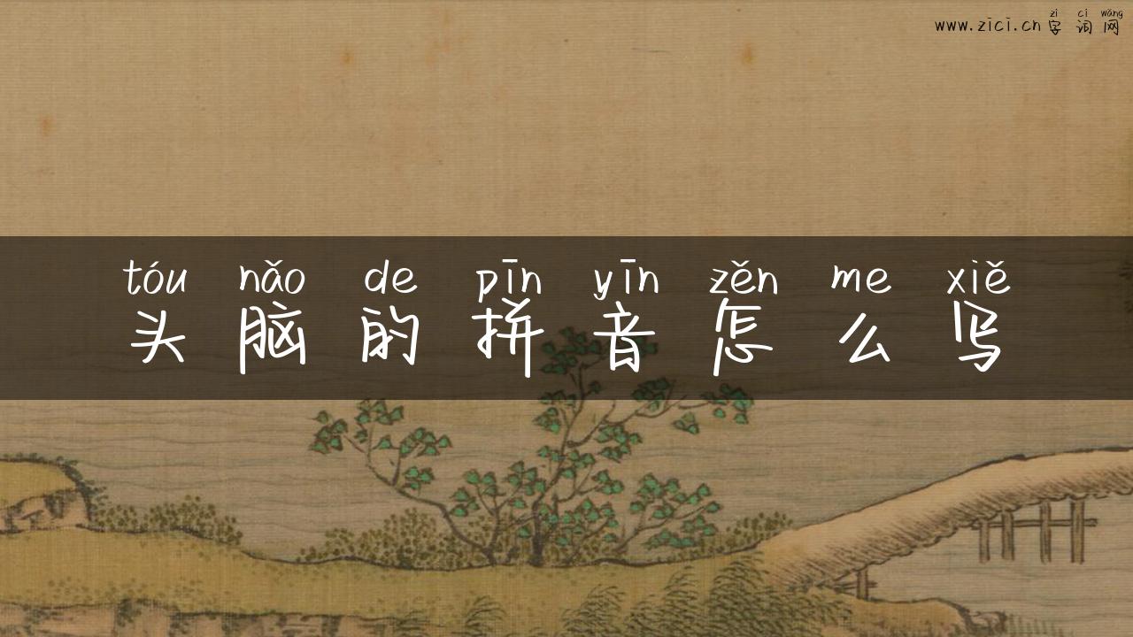 头脑的拼音怎么写