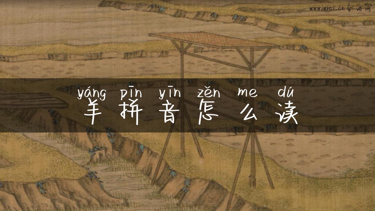 羊拼音怎么读