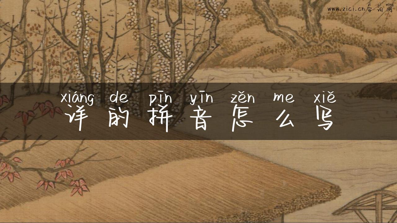 详的拼音怎么写