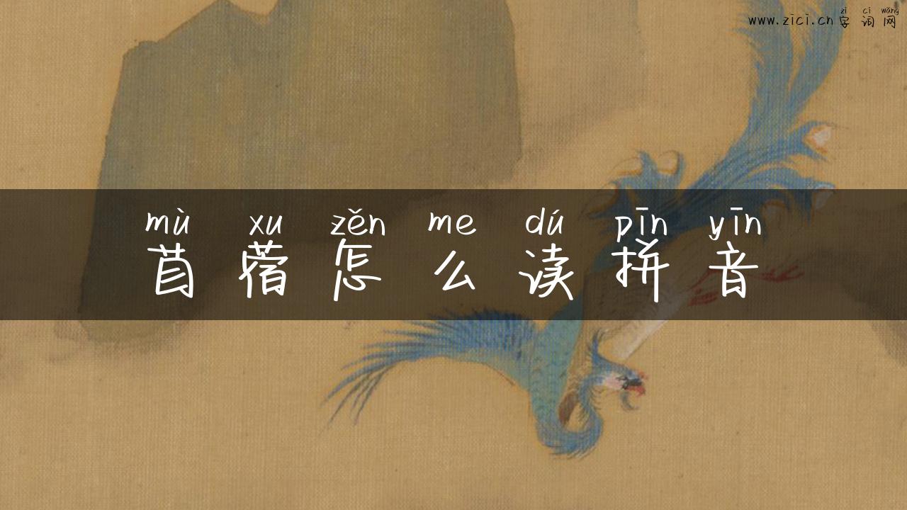 苜蓿怎么读拼音