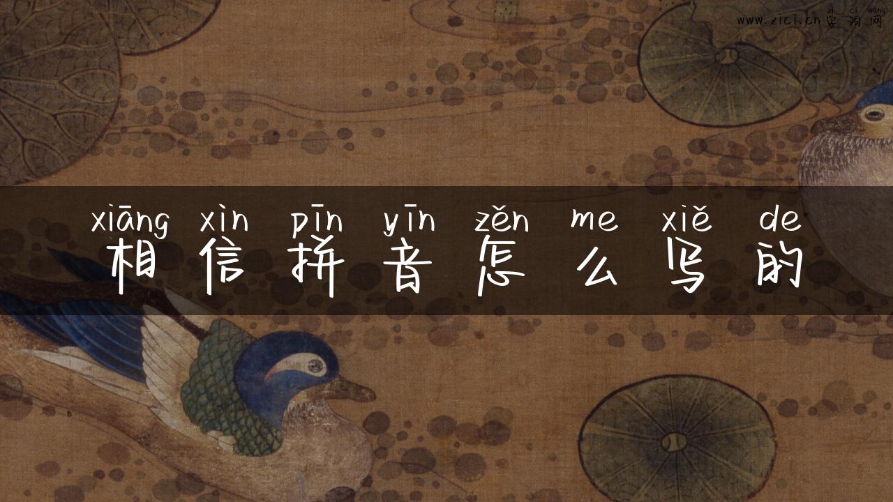 相信拼音怎么写的