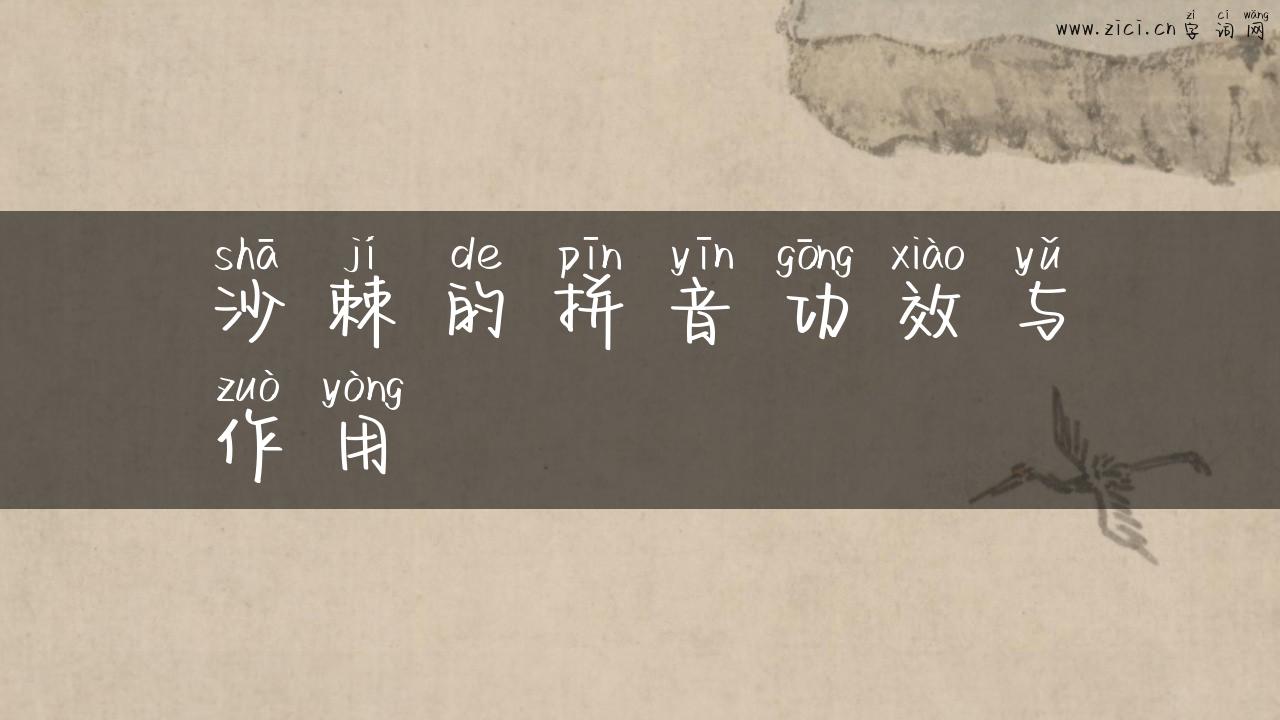 沙棘的拼音功效与作用