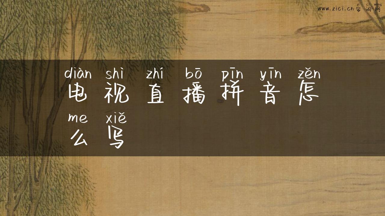 电视直播拼音怎么写