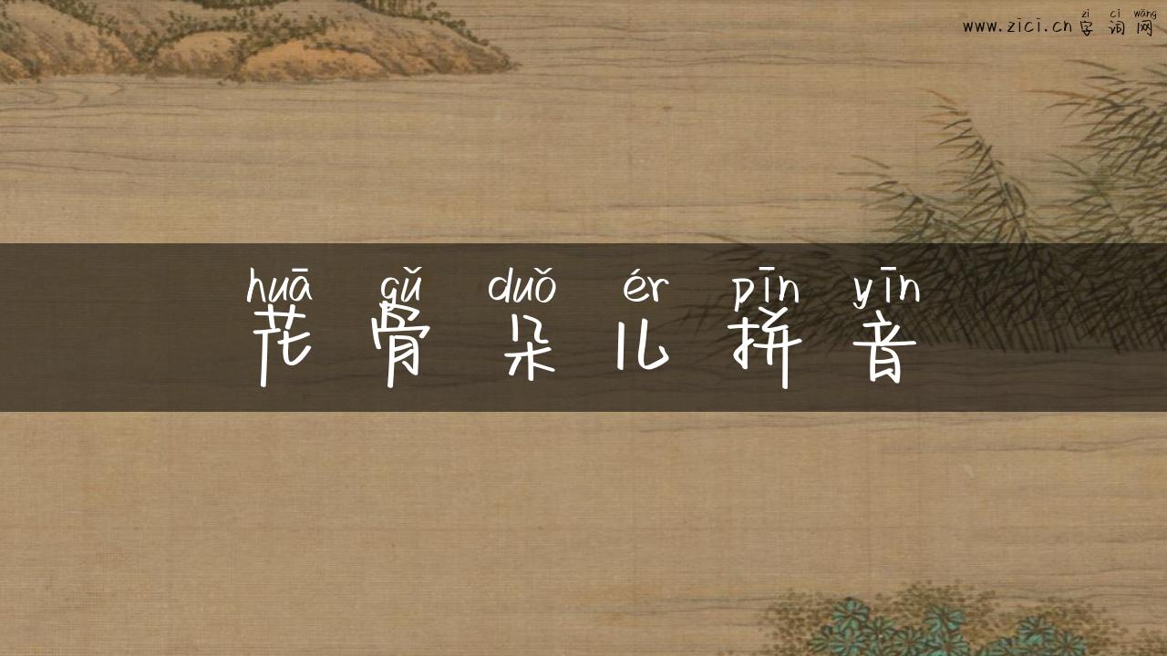 花骨朵儿拼音