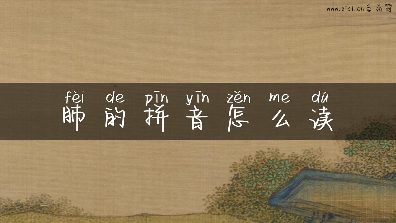 肺的拼音怎么读