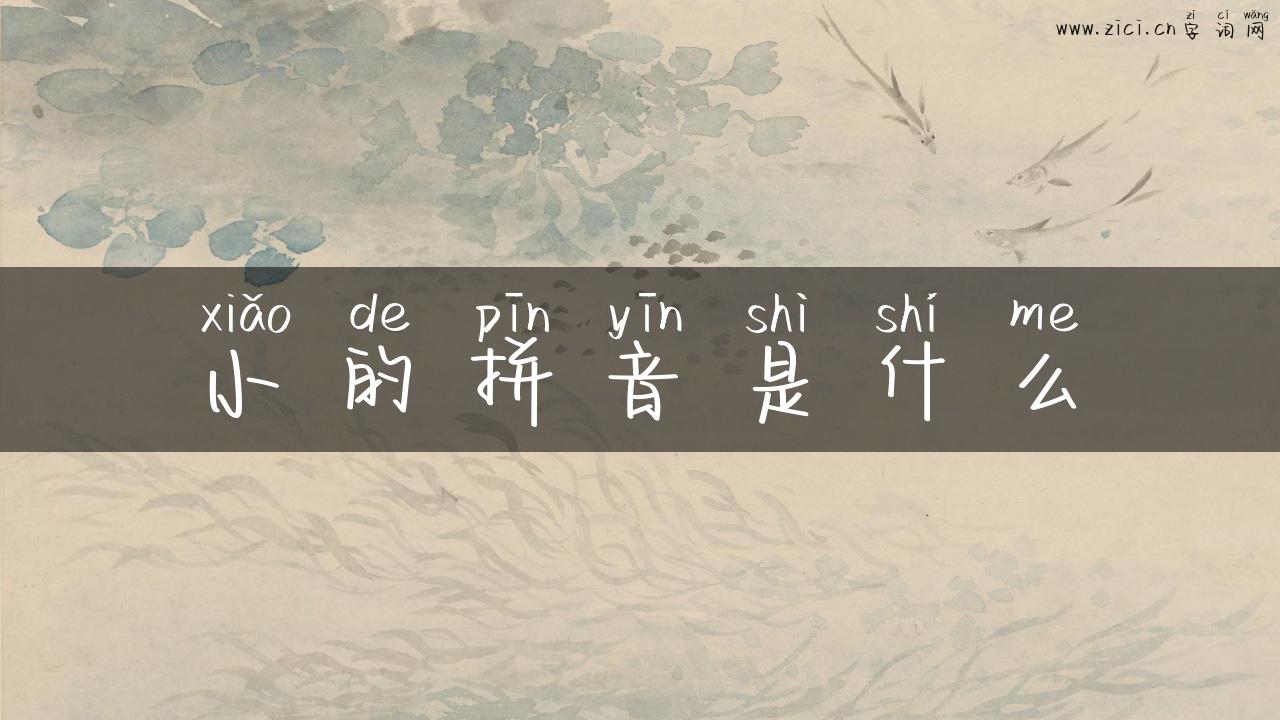 小的拼音是什么
