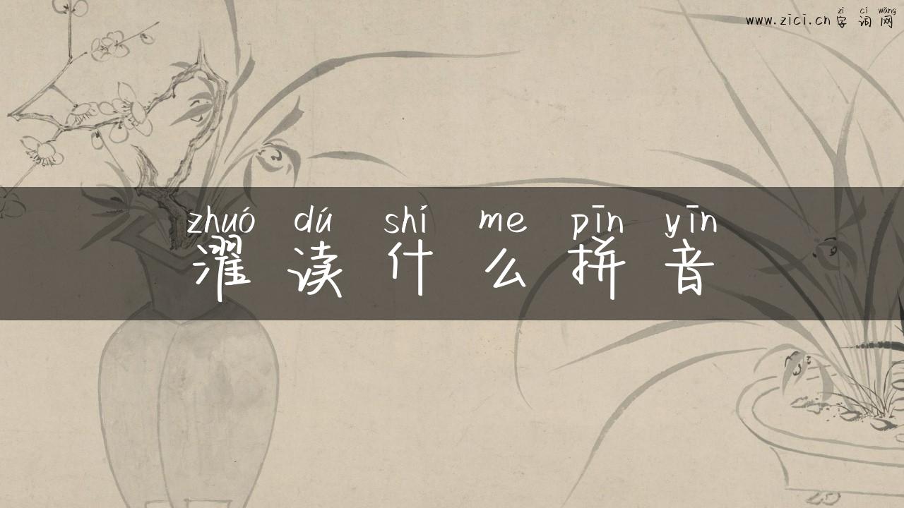 濯读什么拼音