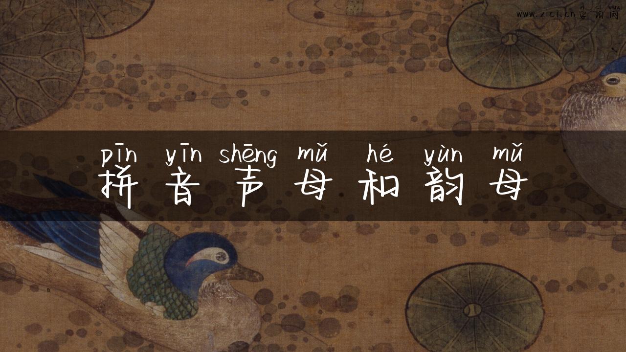 拼音声母和韵母