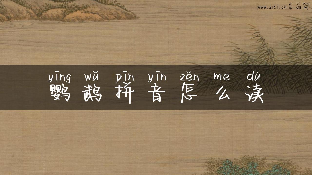 鹦鹉拼音怎么读