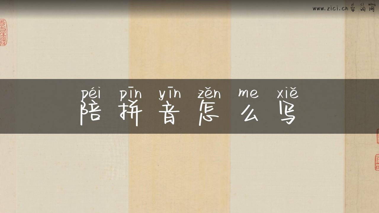 陪拼音怎么写