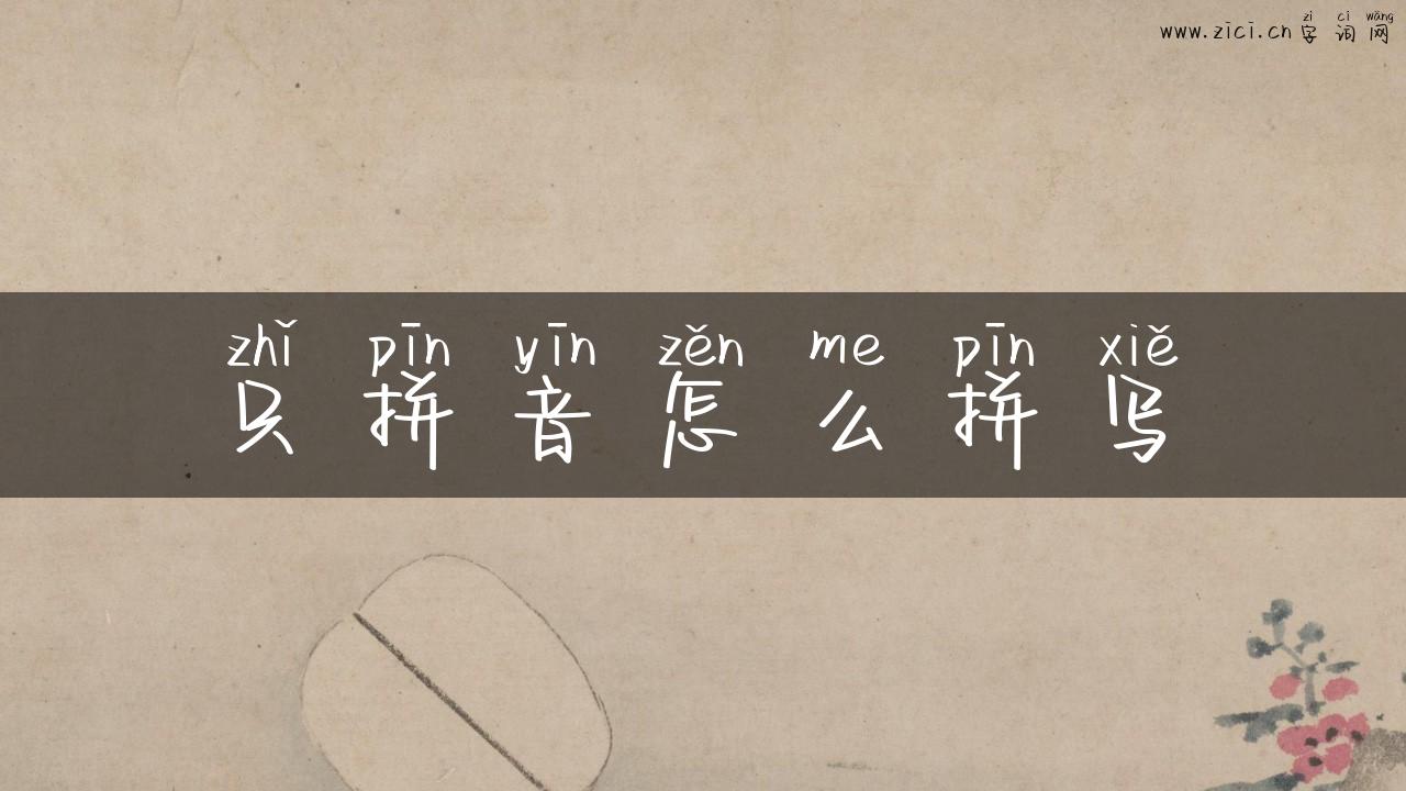 只拼音怎么拼写