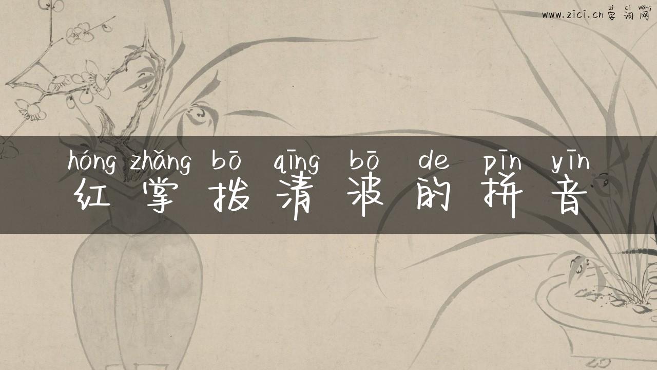 红掌拨清波的拼音