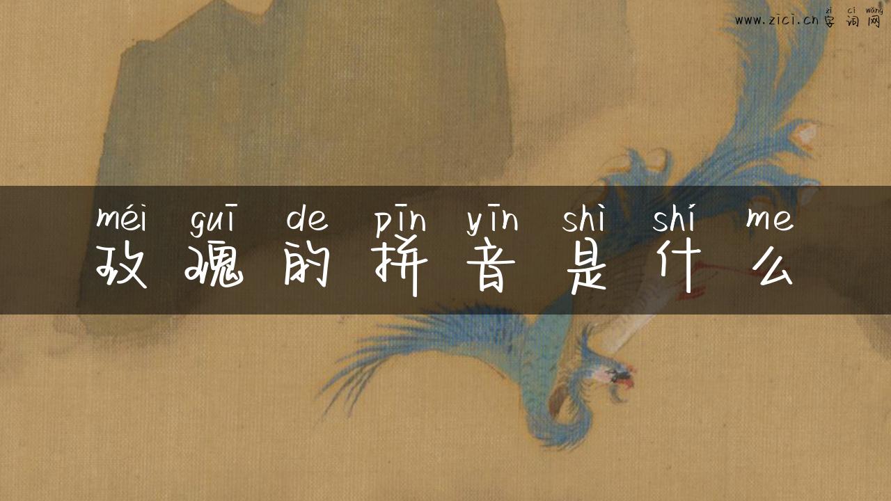 玫瑰的拼音是什么