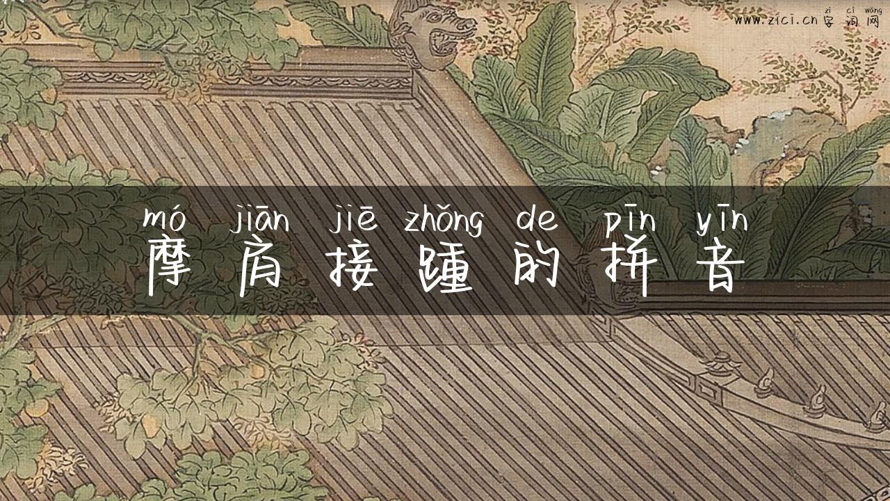 摩肩接踵的拼音