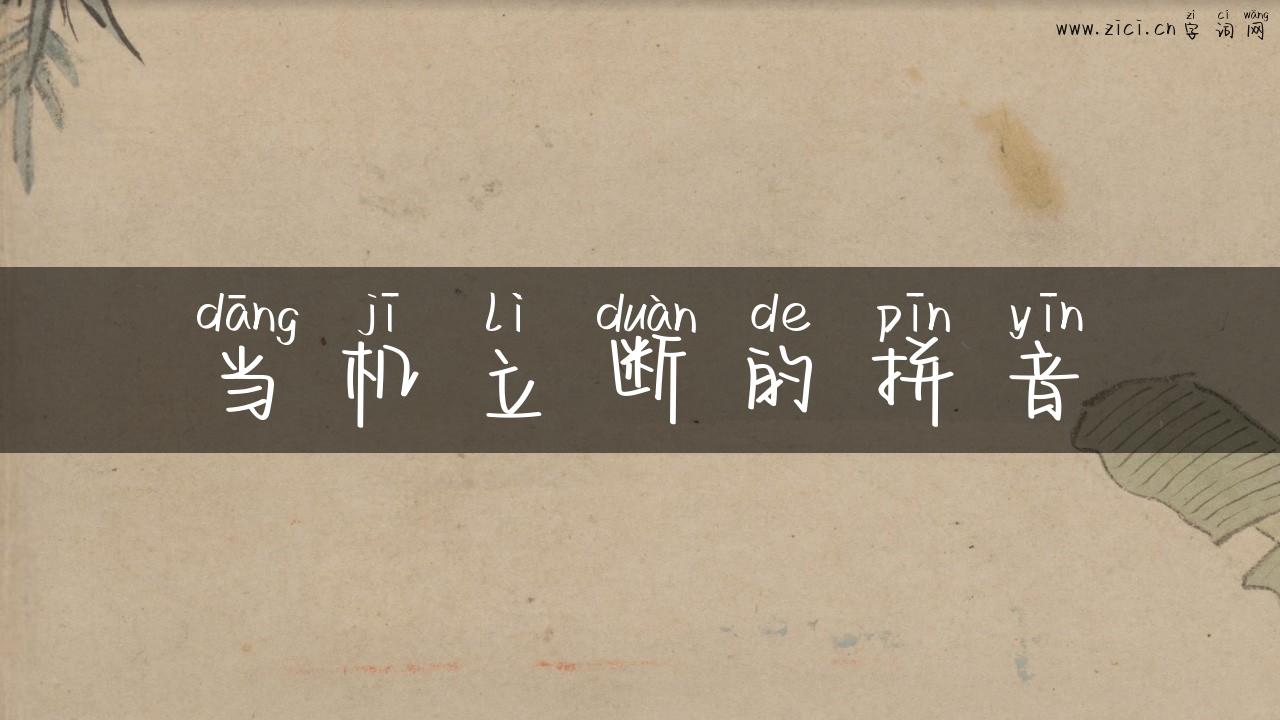 当机立断的拼音