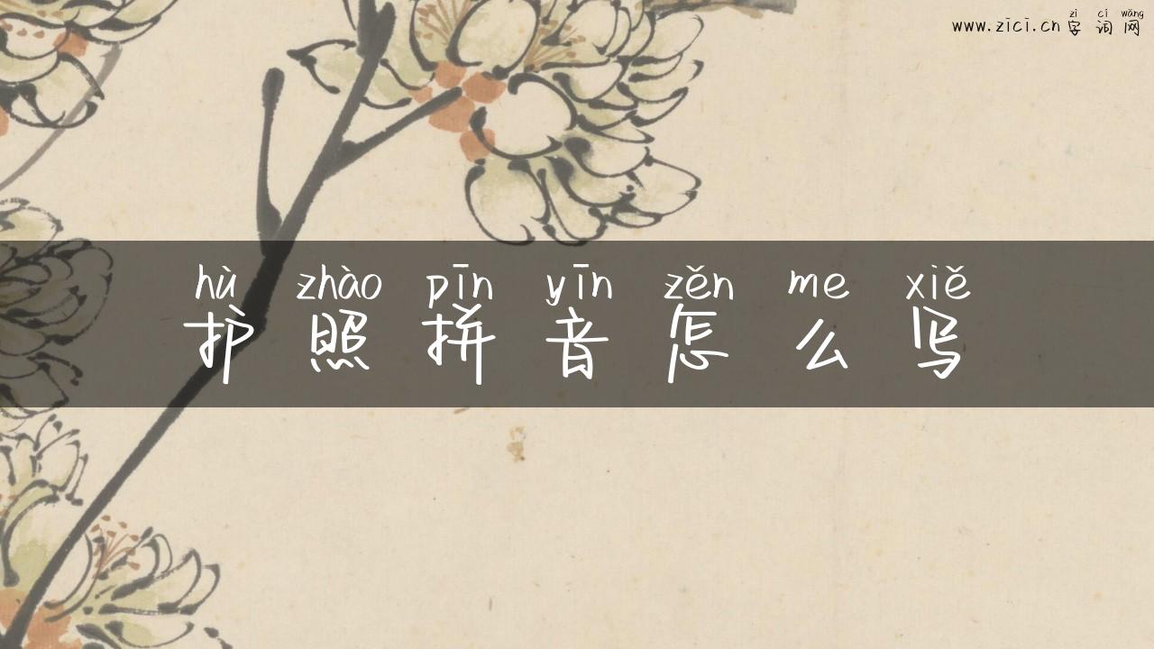 护照拼音怎么写