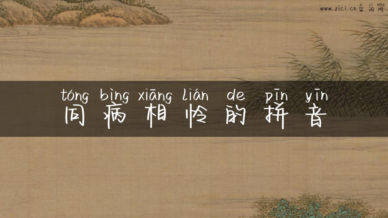 同病相怜的拼音