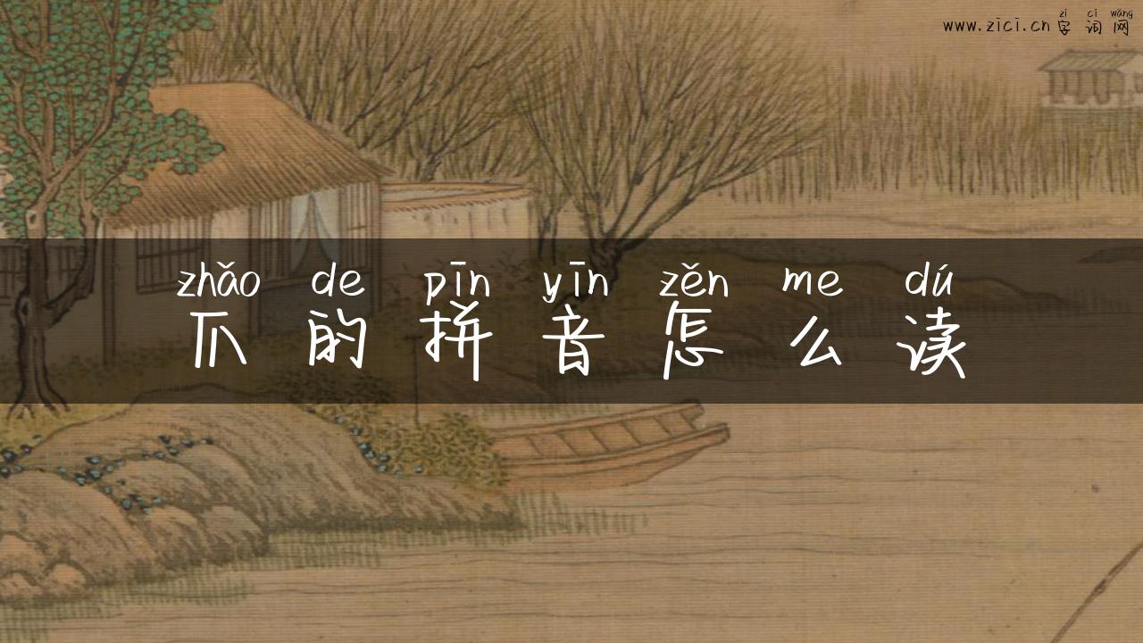 爪的拼音怎么读