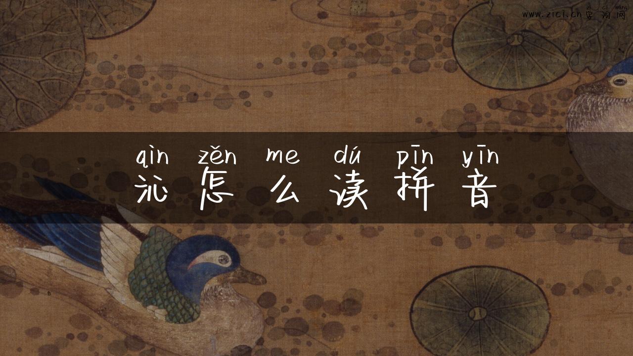 沁怎么读拼音