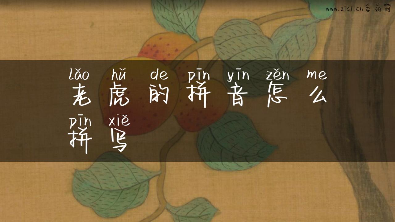 老虎的拼音怎么拼写