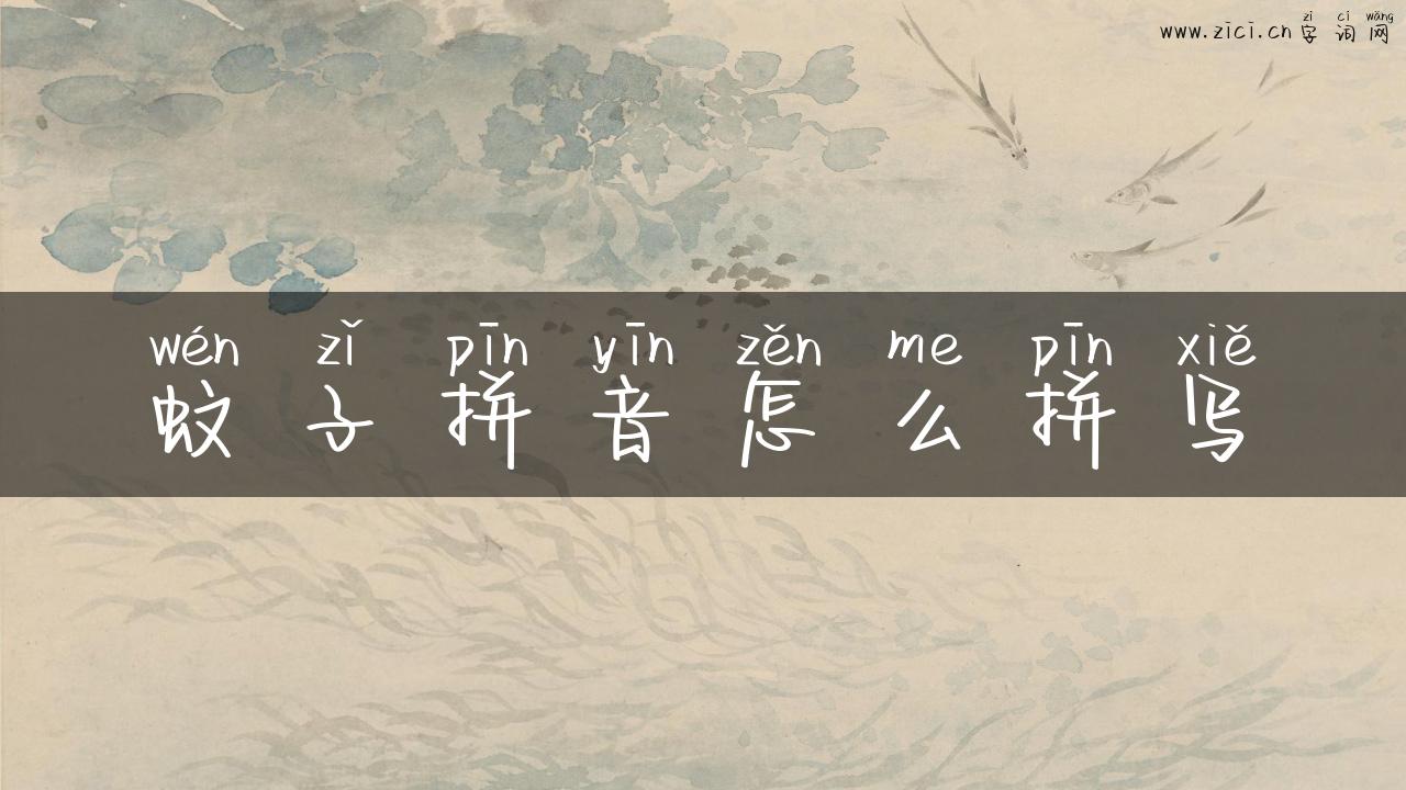 蚊子拼音怎么拼写