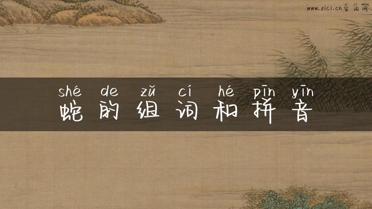 蛇的组词和拼音