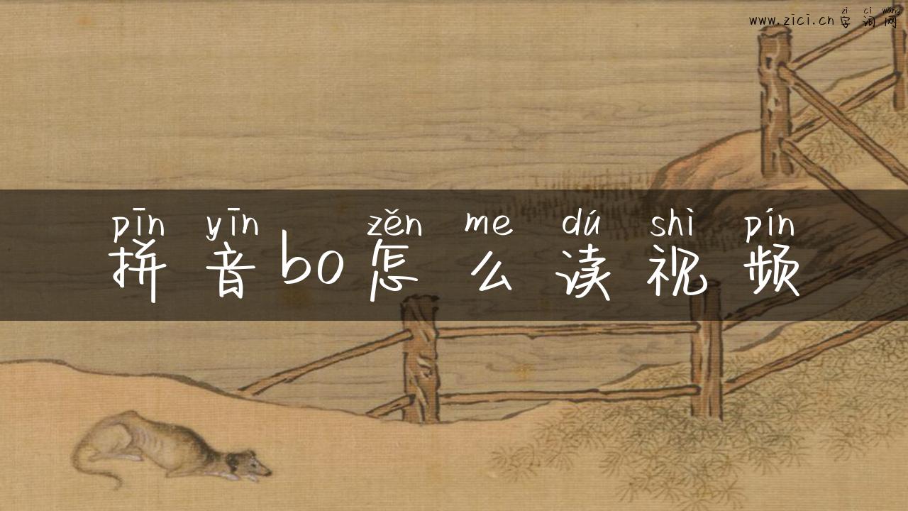 拼音bo怎么读视频
