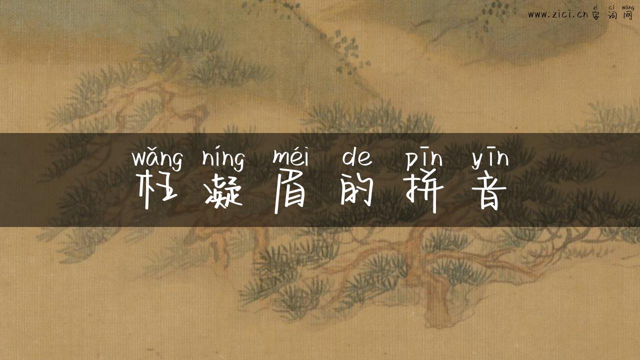 枉凝眉的拼音