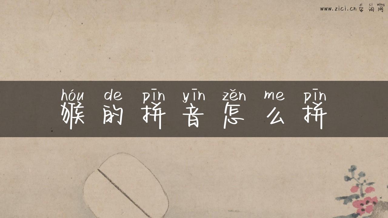 猴的拼音怎么拼