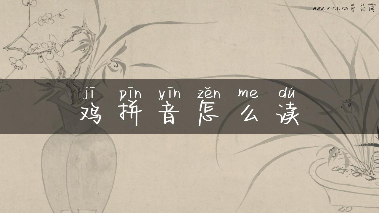 鸡拼音怎么读
