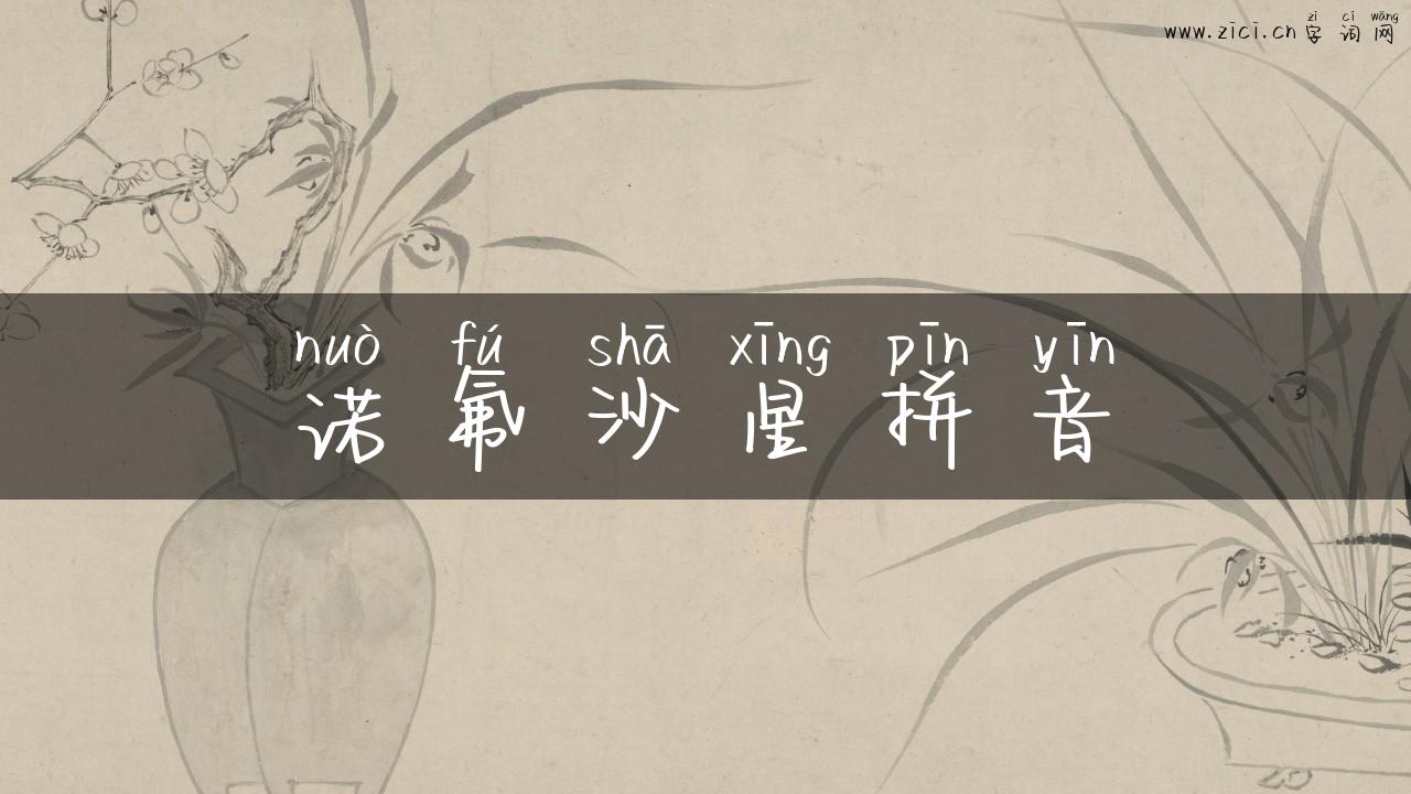 诺氟沙星拼音
