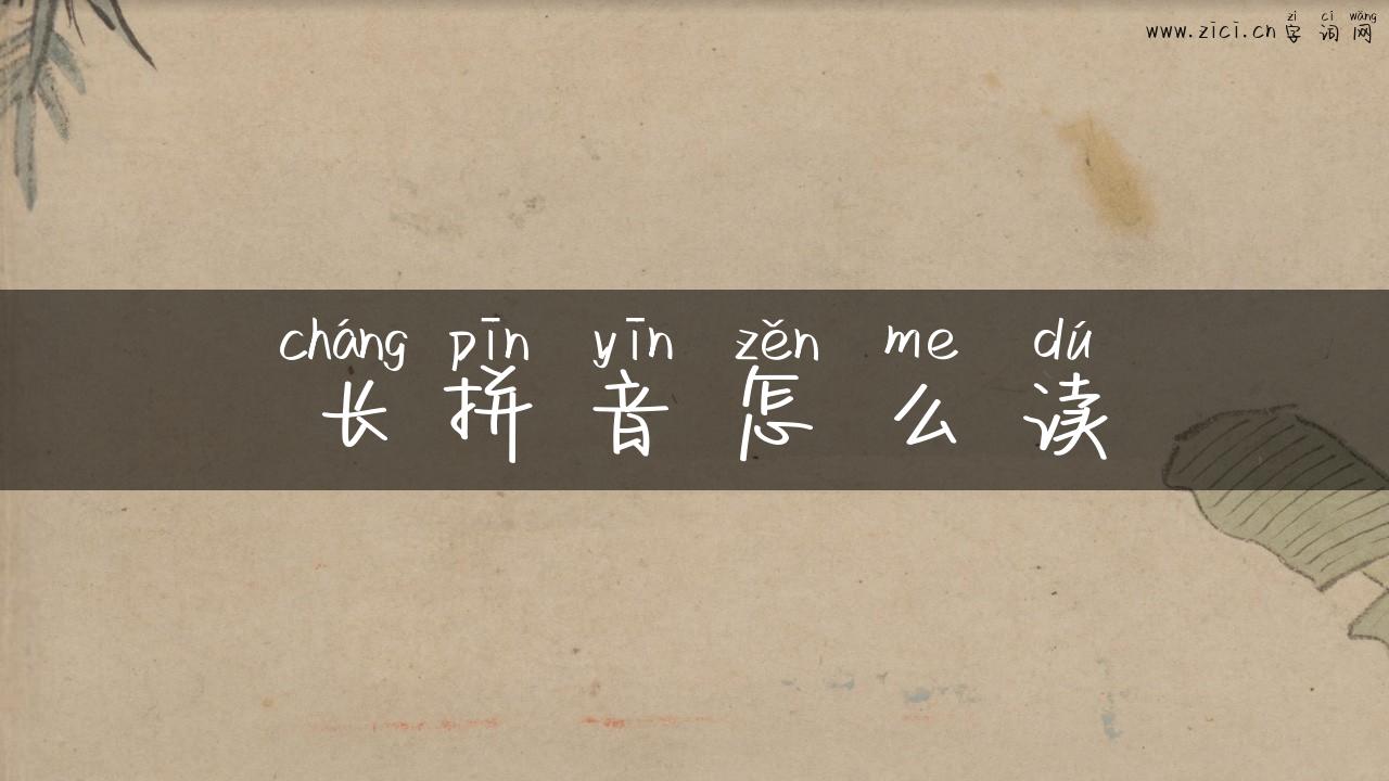 长拼音怎么读